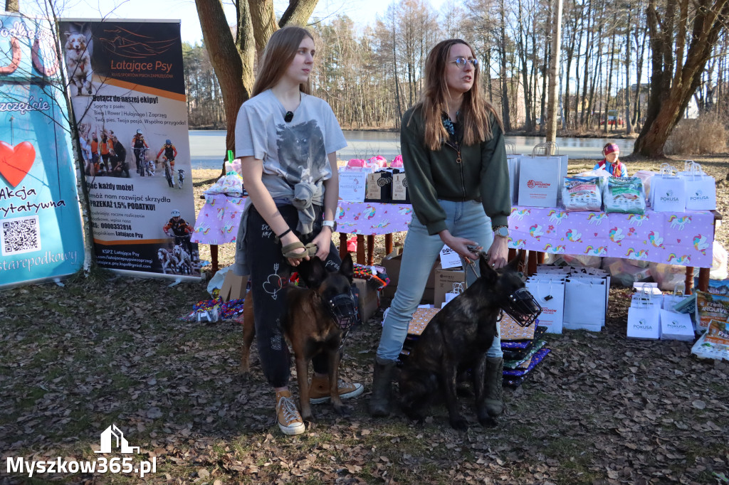 Fotorelacja II: Jurajski Dogtrekking w Myszkowie