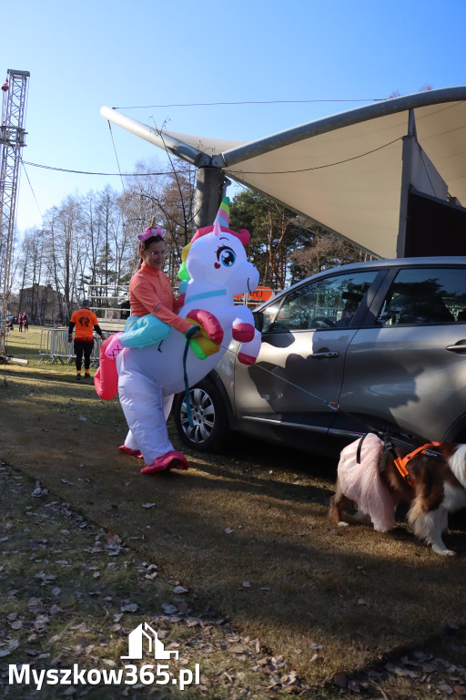 Fotorelacja II: Jurajski Dogtrekking w Myszkowie