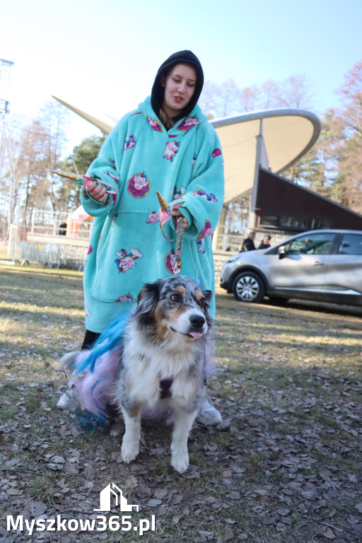 Fotorelacja II: Jurajski Dogtrekking w Myszkowie