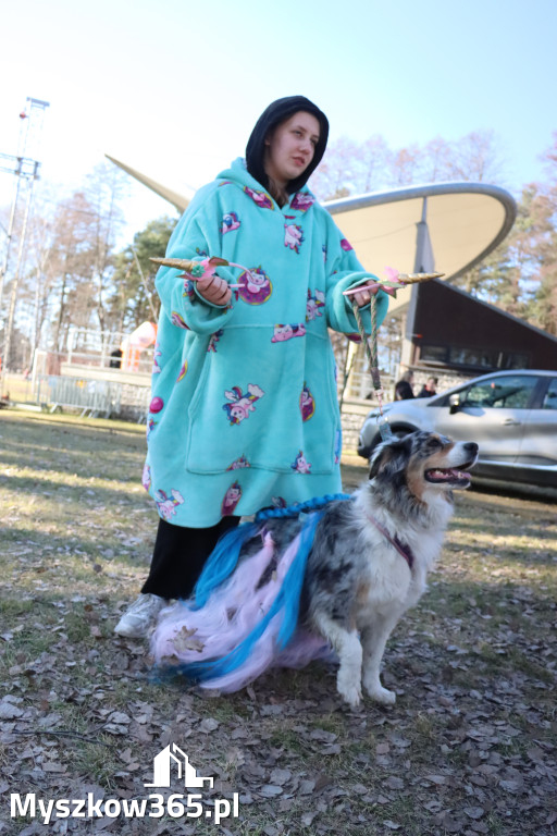 Fotorelacja II: Jurajski Dogtrekking w Myszkowie