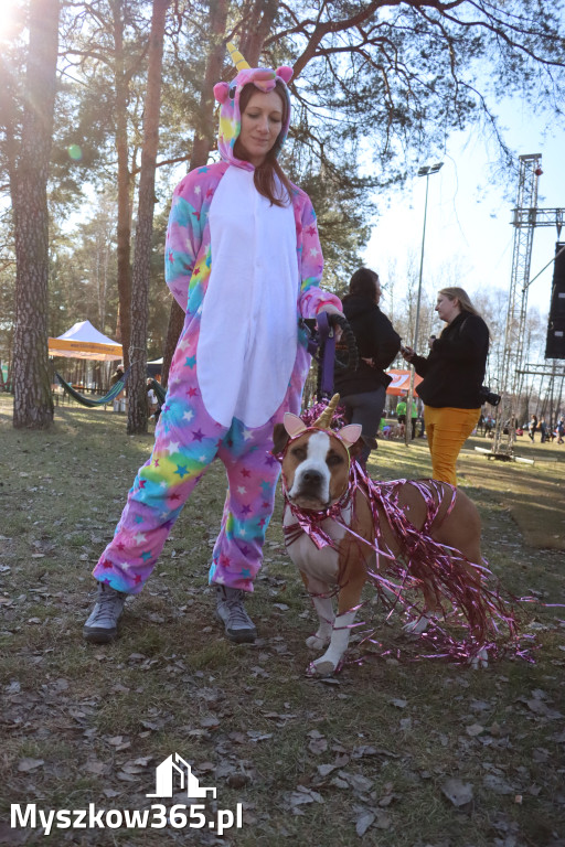 Fotorelacja II: Jurajski Dogtrekking w Myszkowie