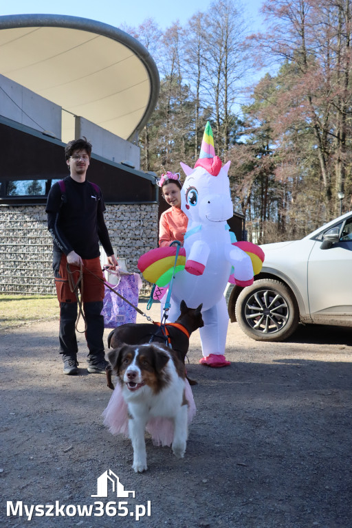 Fotorelacja II: Jurajski Dogtrekking w Myszkowie