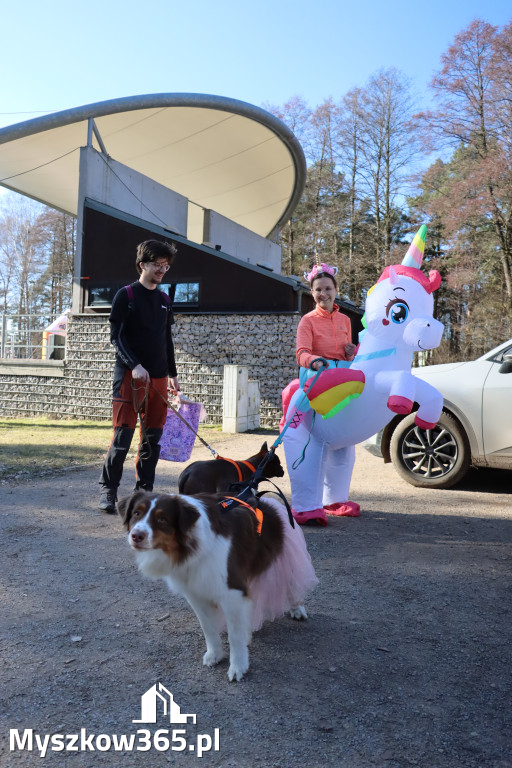 Fotorelacja II: Jurajski Dogtrekking w Myszkowie