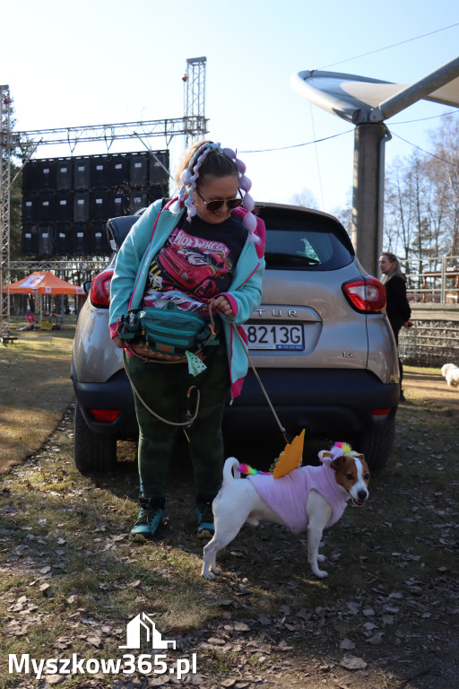 Fotorelacja II: Jurajski Dogtrekking w Myszkowie