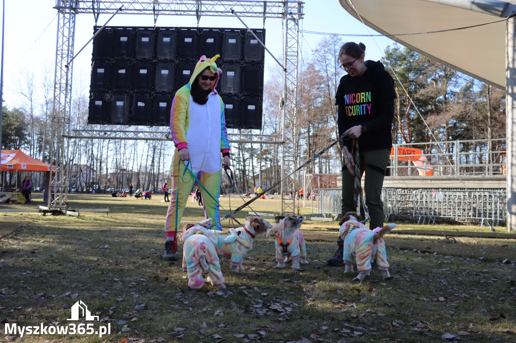 Fotorelacja II: Jurajski Dogtrekking w Myszkowie