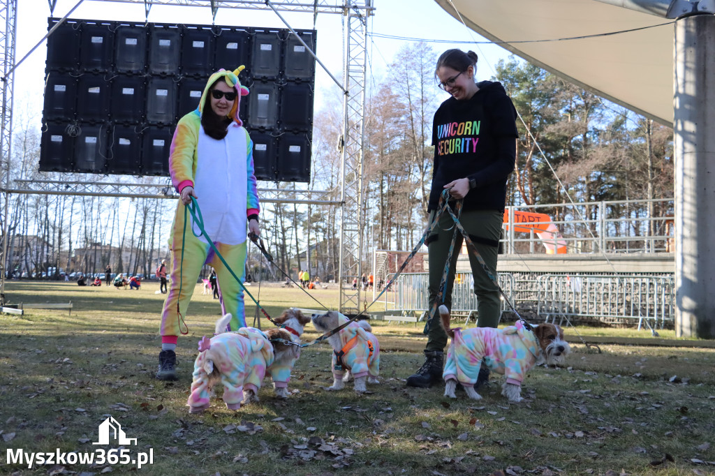Fotorelacja II: Jurajski Dogtrekking w Myszkowie