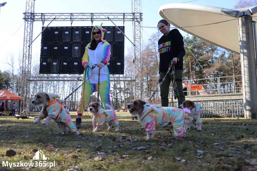 Fotorelacja II: Jurajski Dogtrekking w Myszkowie