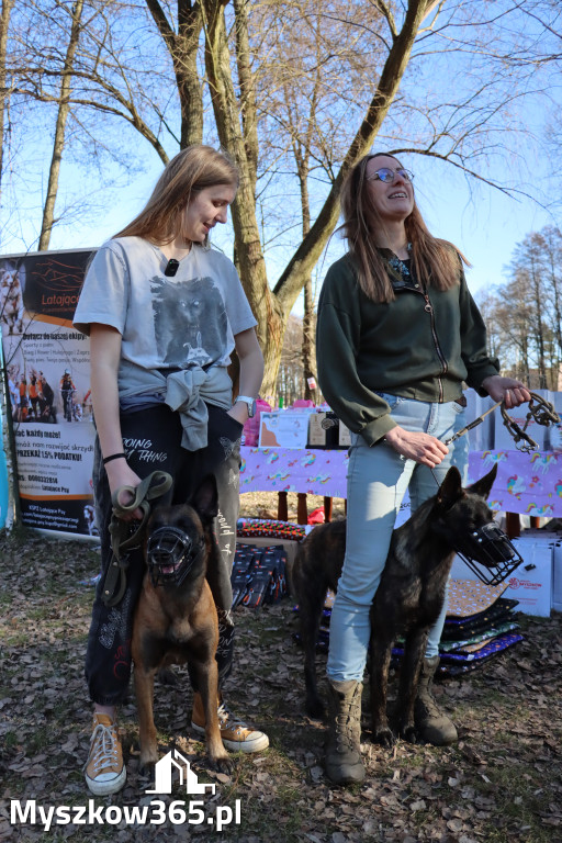 Fotorelacja II: Jurajski Dogtrekking w Myszkowie