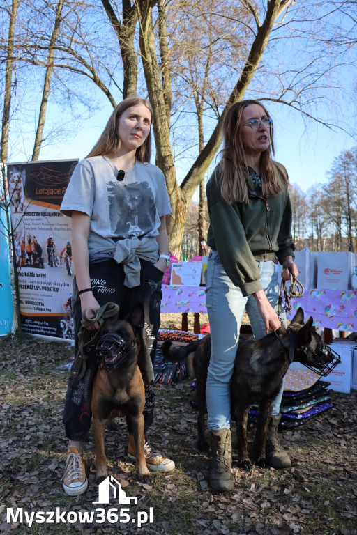 Fotorelacja II: Jurajski Dogtrekking w Myszkowie