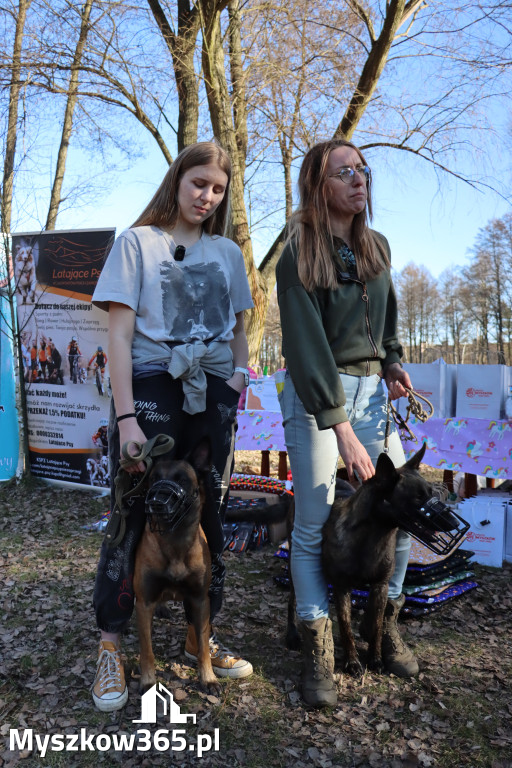 Fotorelacja II: Jurajski Dogtrekking w Myszkowie