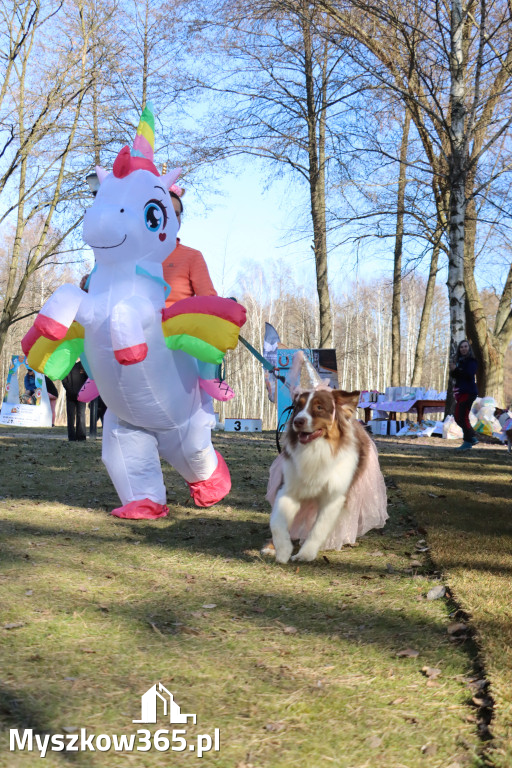 Fotorelacja II: Jurajski Dogtrekking w Myszkowie