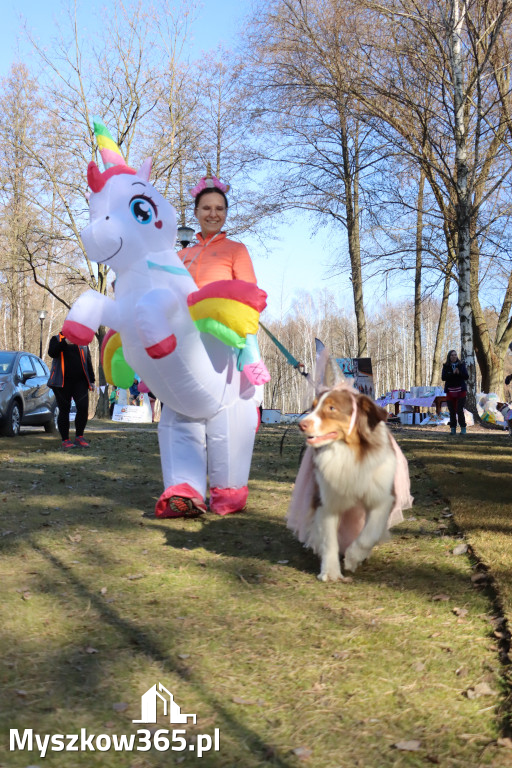 Fotorelacja II: Jurajski Dogtrekking w Myszkowie