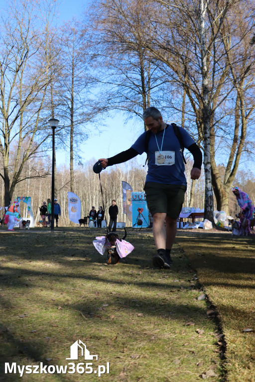 Fotorelacja II: Jurajski Dogtrekking w Myszkowie