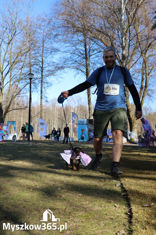 Fotorelacja II: Jurajski Dogtrekking w Myszkowie