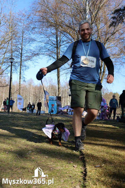 Fotorelacja II: Jurajski Dogtrekking w Myszkowie
