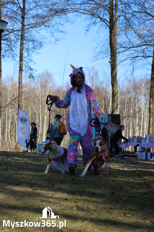 Fotorelacja II: Jurajski Dogtrekking w Myszkowie