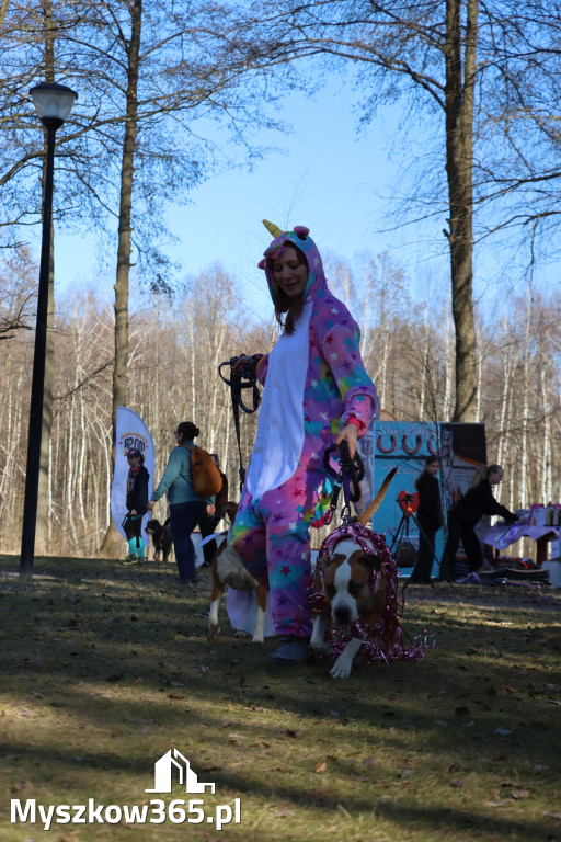 Fotorelacja II: Jurajski Dogtrekking w Myszkowie