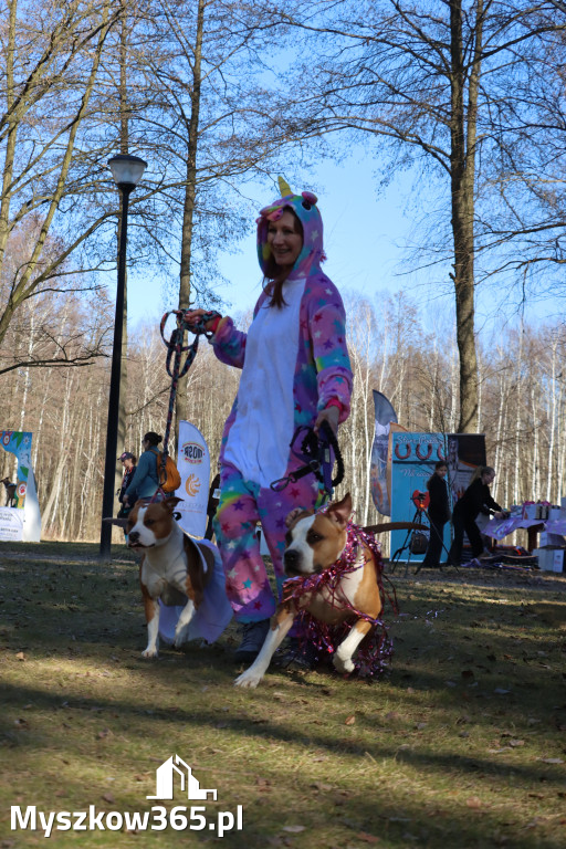 Fotorelacja II: Jurajski Dogtrekking w Myszkowie
