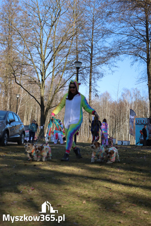 Fotorelacja II: Jurajski Dogtrekking w Myszkowie