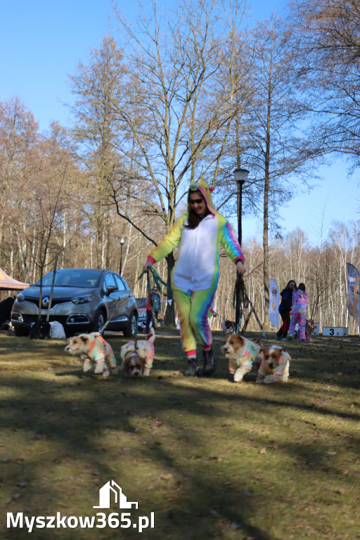 Fotorelacja II: Jurajski Dogtrekking w Myszkowie