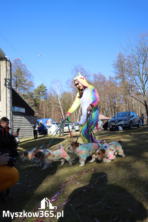 Fotorelacja II: Jurajski Dogtrekking w Myszkowie