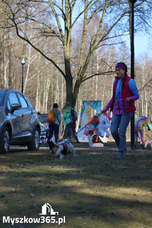Fotorelacja II: Jurajski Dogtrekking w Myszkowie