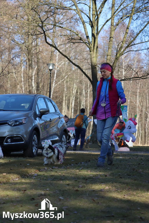 Fotorelacja II: Jurajski Dogtrekking w Myszkowie