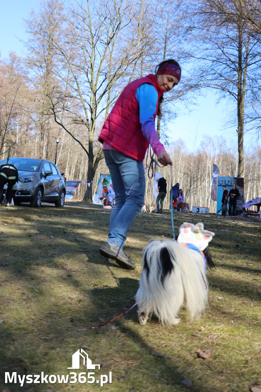 Fotorelacja II: Jurajski Dogtrekking w Myszkowie