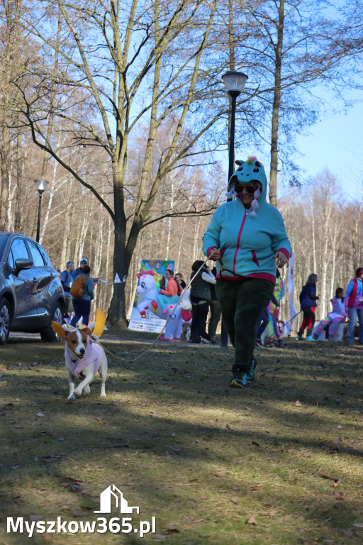 Fotorelacja II: Jurajski Dogtrekking w Myszkowie