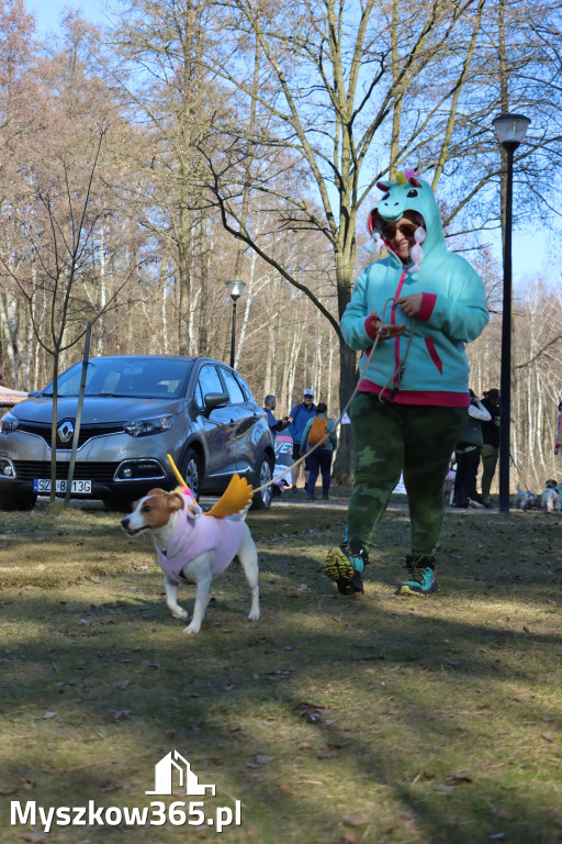 Fotorelacja II: Jurajski Dogtrekking w Myszkowie