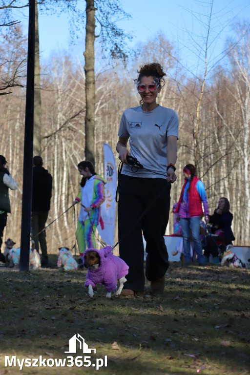 Fotorelacja II: Jurajski Dogtrekking w Myszkowie
