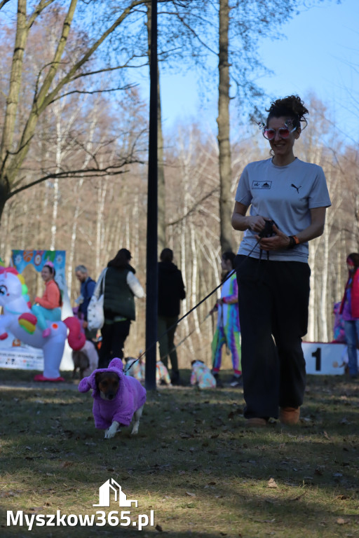 Fotorelacja II: Jurajski Dogtrekking w Myszkowie