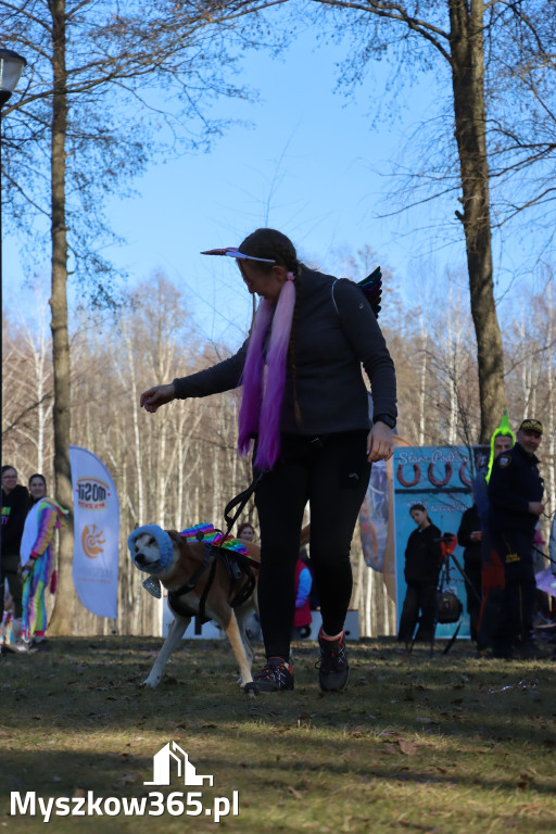 Fotorelacja II: Jurajski Dogtrekking w Myszkowie
