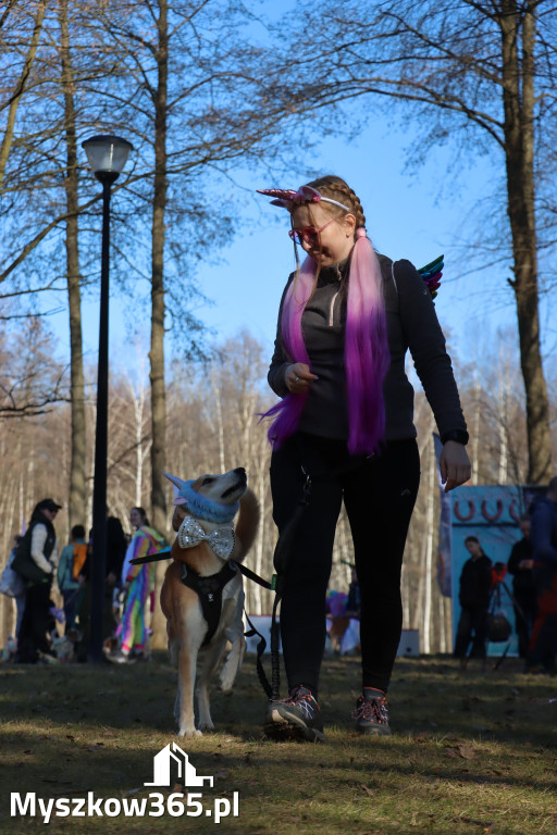 Fotorelacja II: Jurajski Dogtrekking w Myszkowie