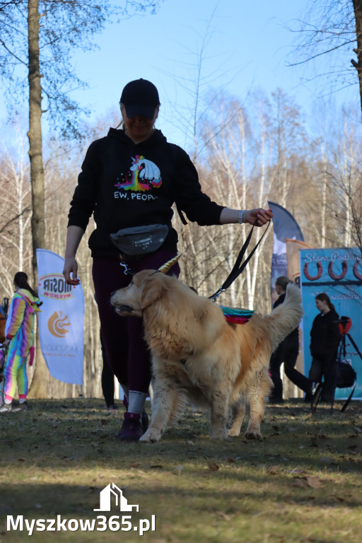 Fotorelacja II: Jurajski Dogtrekking w Myszkowie