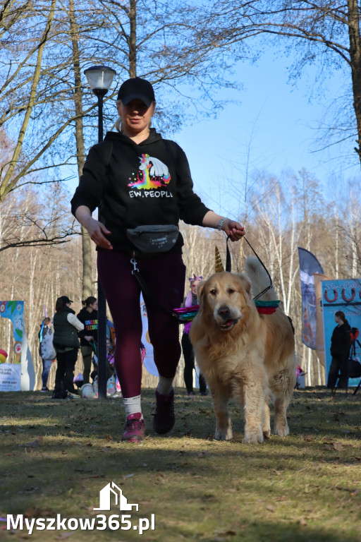 Fotorelacja II: Jurajski Dogtrekking w Myszkowie
