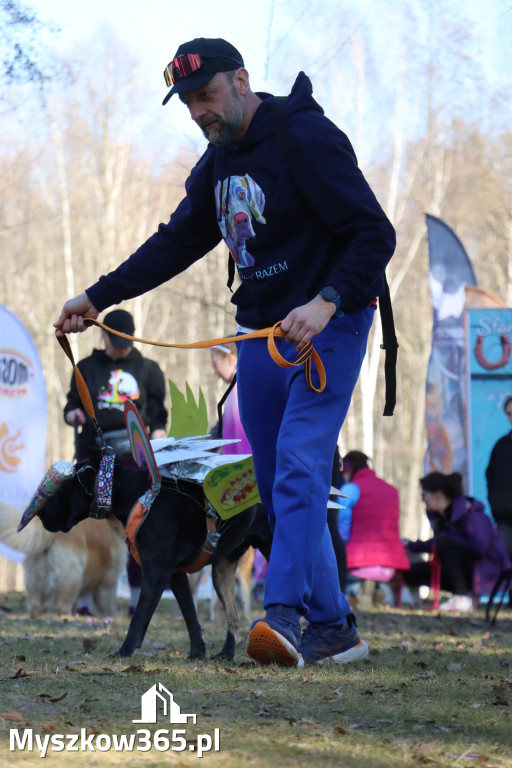 Fotorelacja II: Jurajski Dogtrekking w Myszkowie