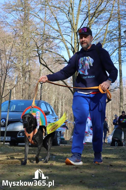 Fotorelacja II: Jurajski Dogtrekking w Myszkowie