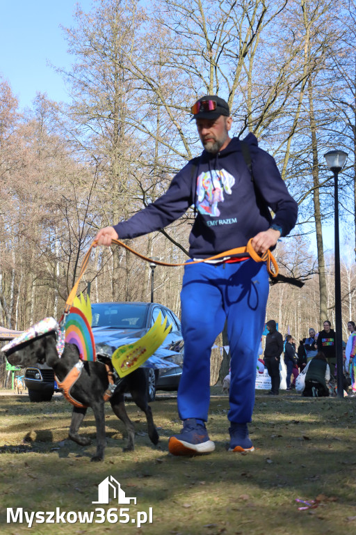 Fotorelacja II: Jurajski Dogtrekking w Myszkowie