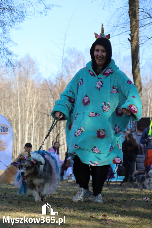 Fotorelacja II: Jurajski Dogtrekking w Myszkowie
