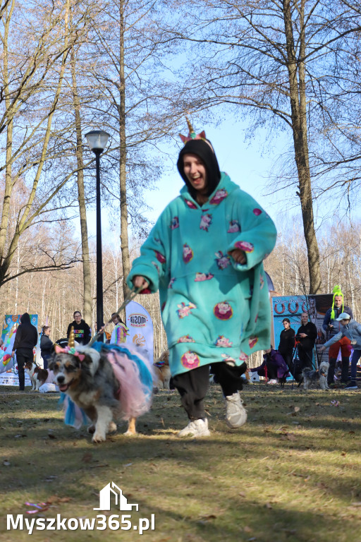 Fotorelacja II: Jurajski Dogtrekking w Myszkowie
