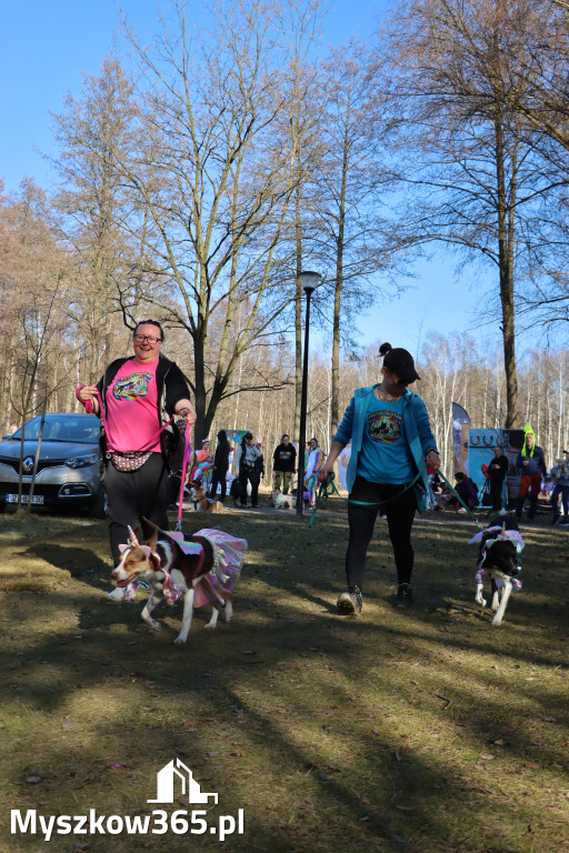 Fotorelacja II: Jurajski Dogtrekking w Myszkowie