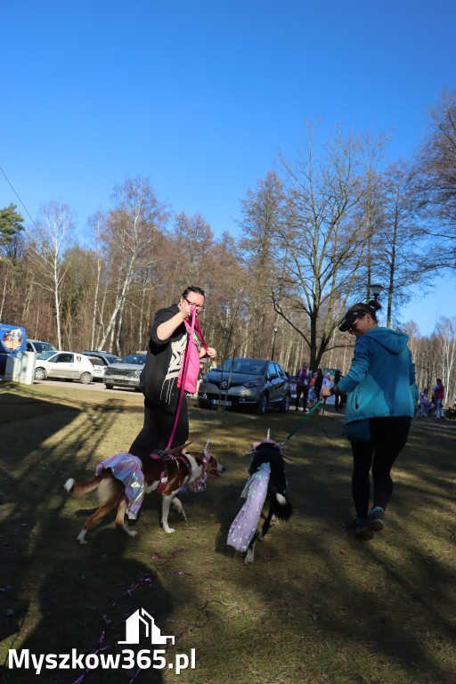 Fotorelacja II: Jurajski Dogtrekking w Myszkowie