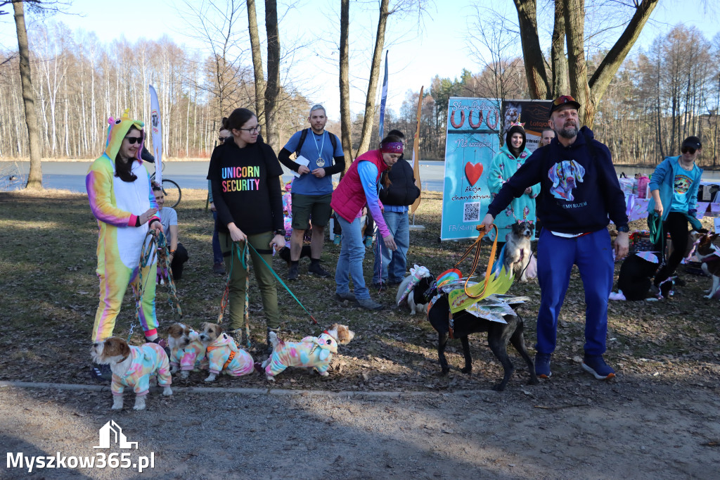 Fotorelacja II: Jurajski Dogtrekking w Myszkowie