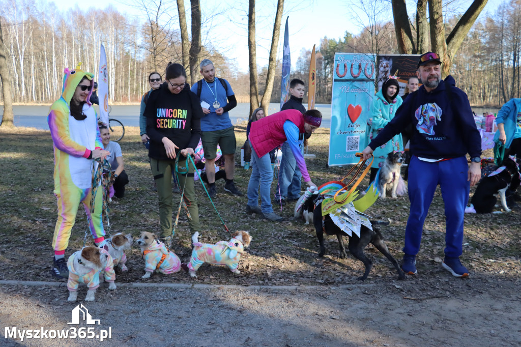 Fotorelacja II: Jurajski Dogtrekking w Myszkowie