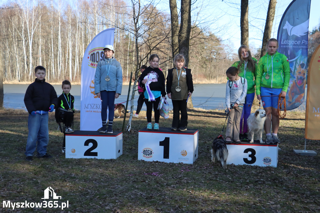 Fotorelacja II: Jurajski Dogtrekking w Myszkowie