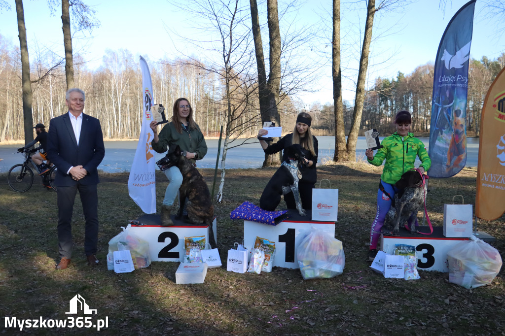 Fotorelacja II: Jurajski Dogtrekking w Myszkowie