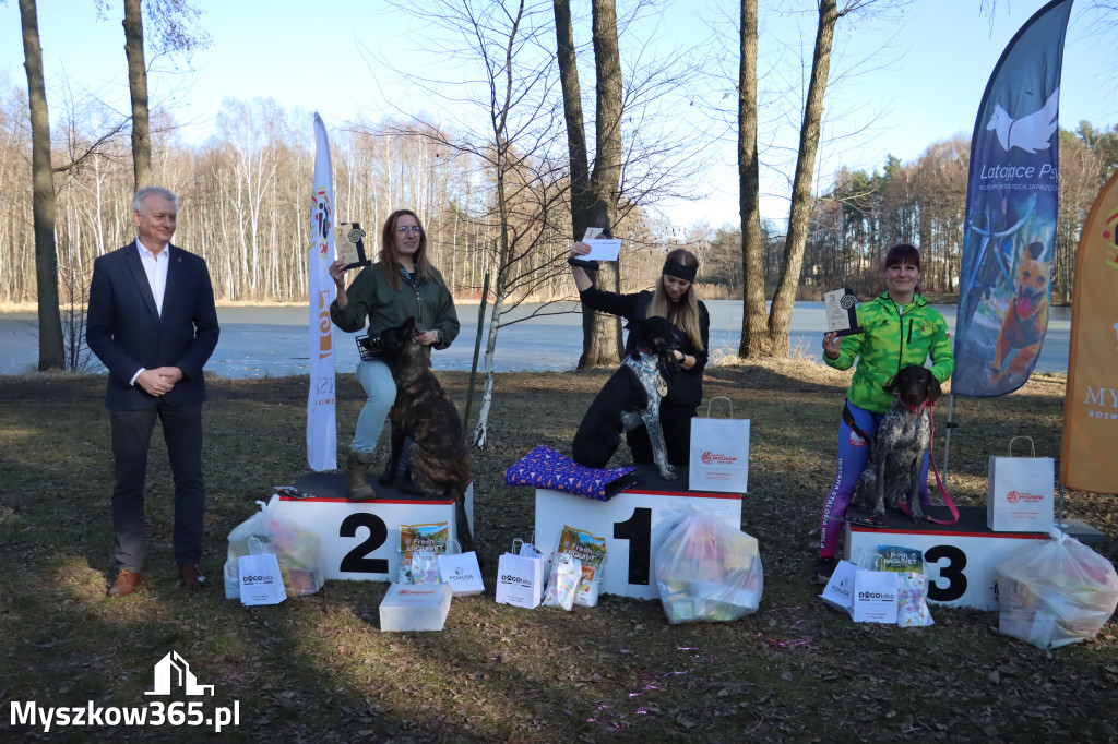 Fotorelacja II: Jurajski Dogtrekking w Myszkowie