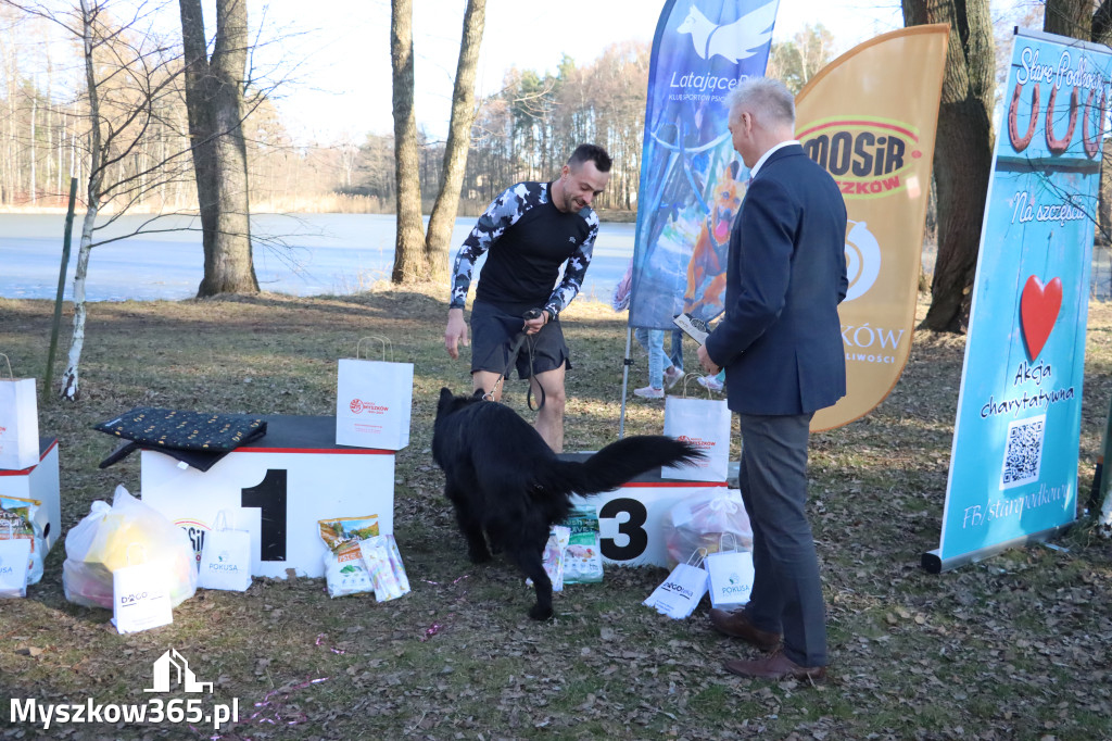 Fotorelacja II: Jurajski Dogtrekking w Myszkowie