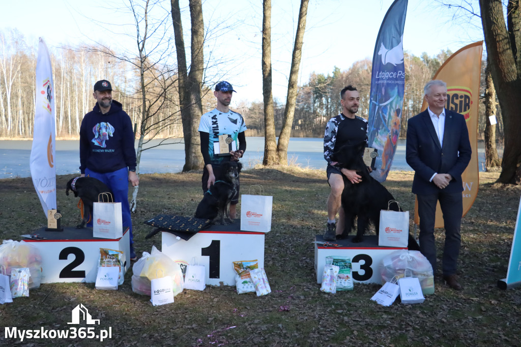 Fotorelacja II: Jurajski Dogtrekking w Myszkowie